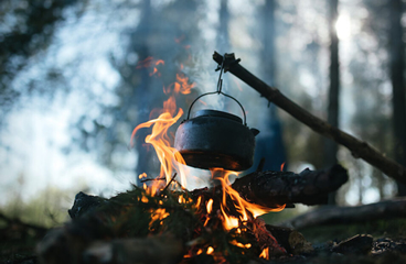 survival and resillience